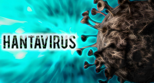 Odissea sanitaria nell'Atlantico: l'emergenza Hantavirus sulla MV Hondius